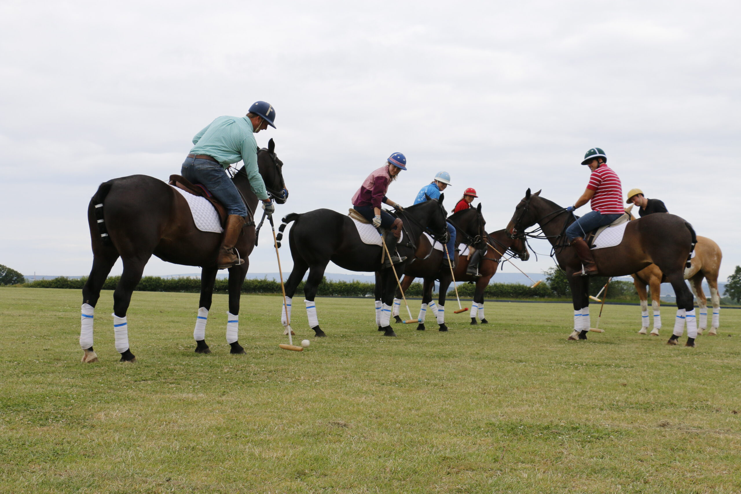 Polo Lessons Dorset Polo Club