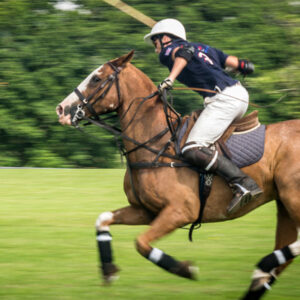 Dorset Polo Club pony in action