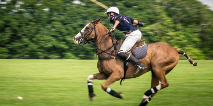 Dorset Polo Club pony in action