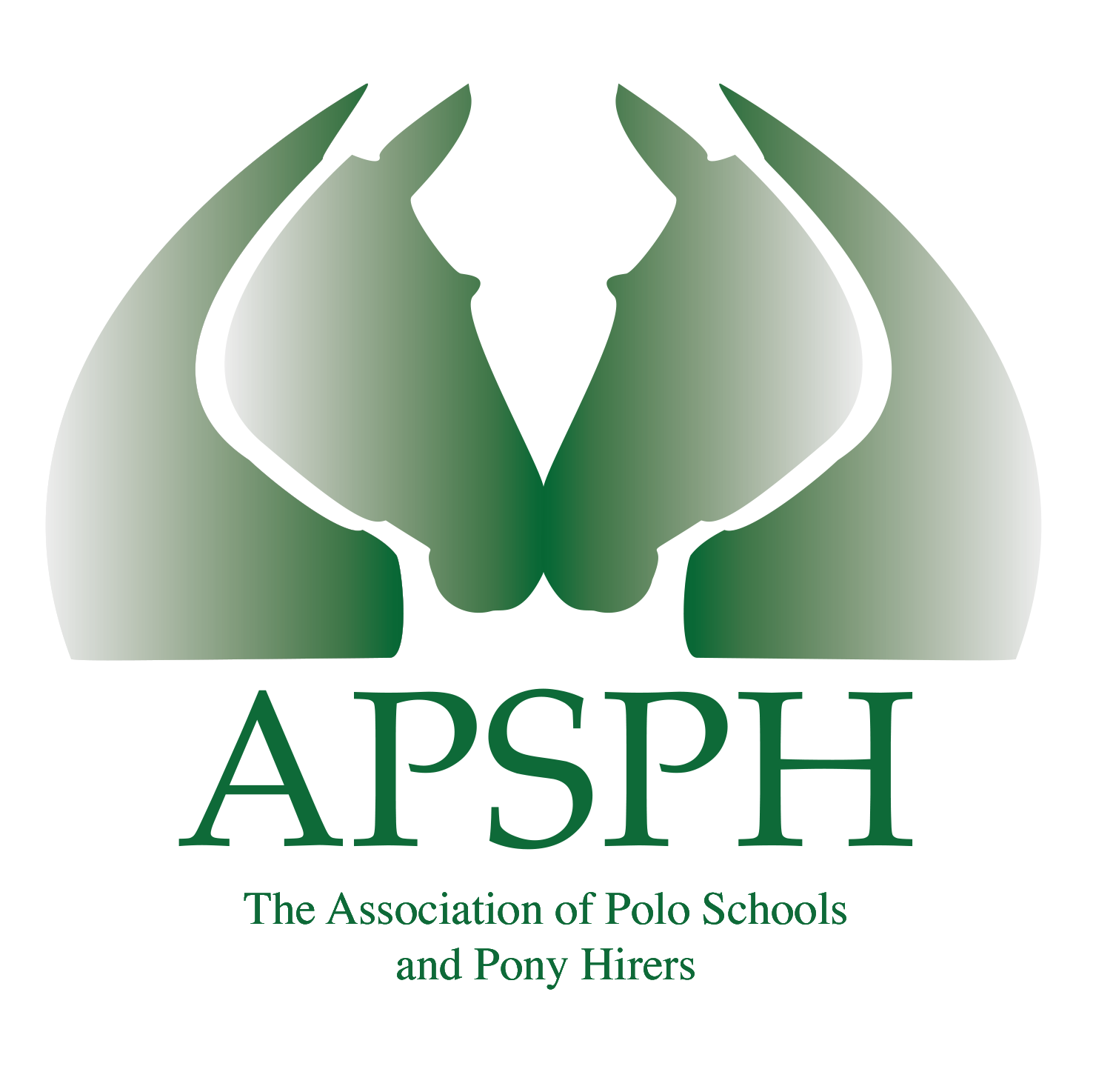 The Association of Polo Schools and Pony Hirers