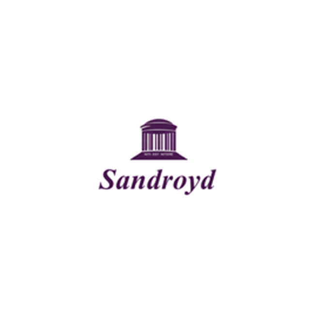 sandroyd-school-polo