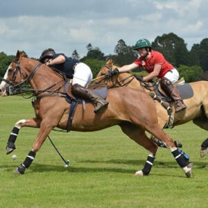 good-action-small-polo-best