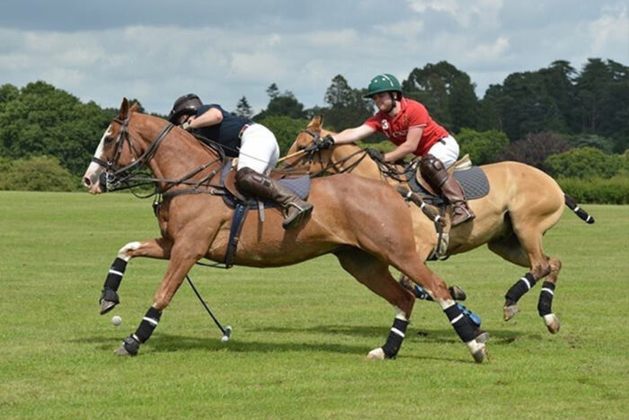 Learn to Play Polo