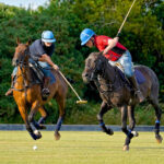 Learn to Play Polo