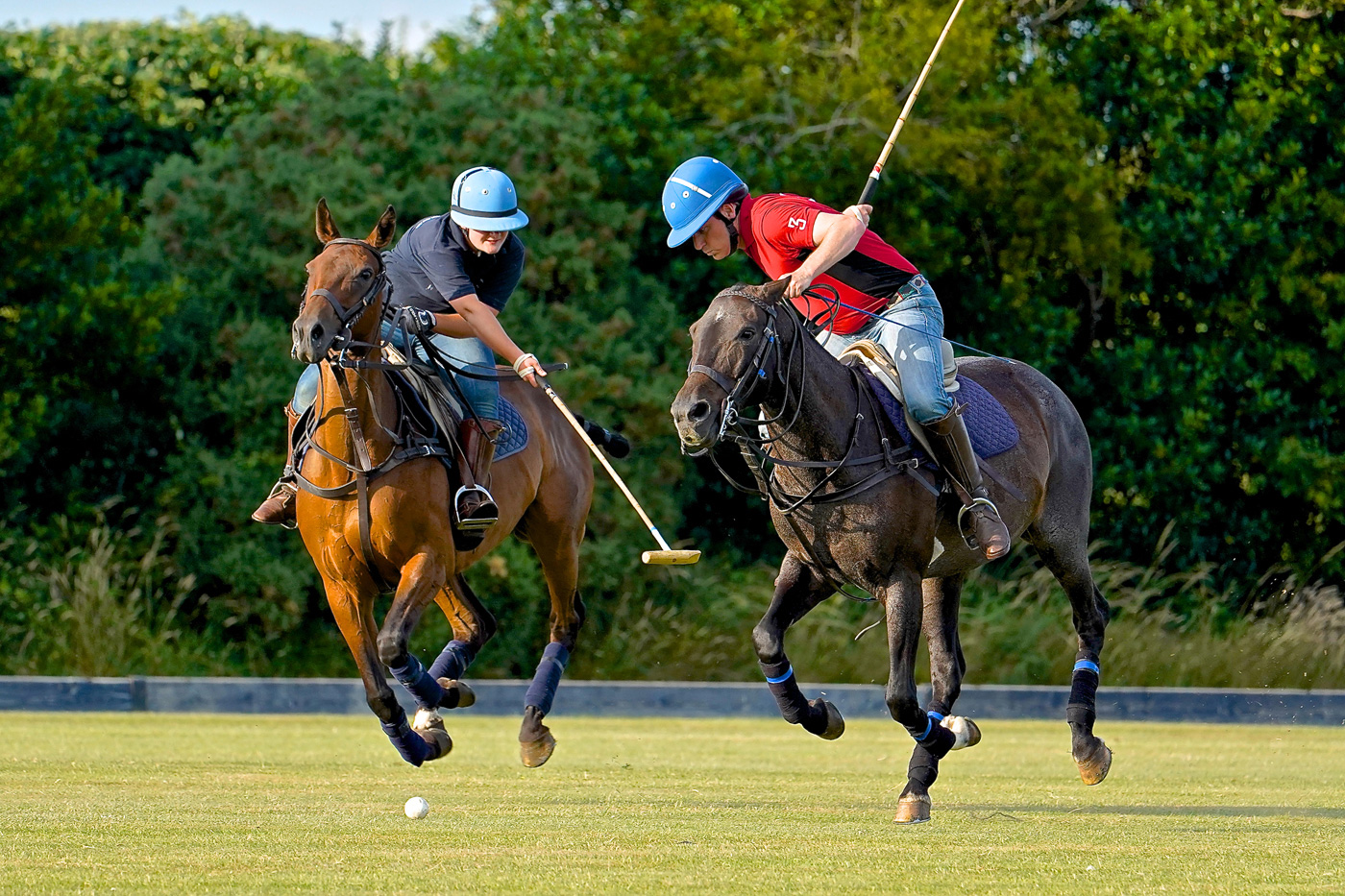 Learn to Play Polo