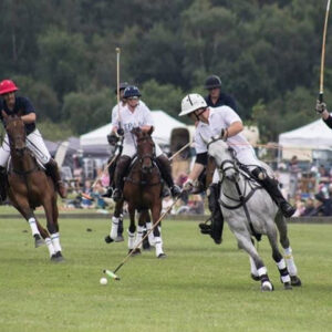 polo-festival